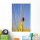 Lady Bug On A Plant Wall Mural