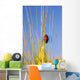 Lady Bug On A Plant Wall Mural