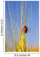 Lady Bug On A Plant Wall Mural