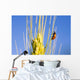 Ladybug On Wheat Wall Mural