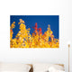 Autumn Trees Wall Mural