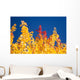 Autumn Trees Wall Mural