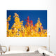 Autumn Trees Wall Mural