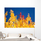 Autumn Trees Wall Mural