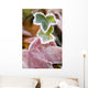 Frost On Autumn Leaves Wall Mural