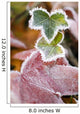 Frost On Autumn Leaves Wall Mural
