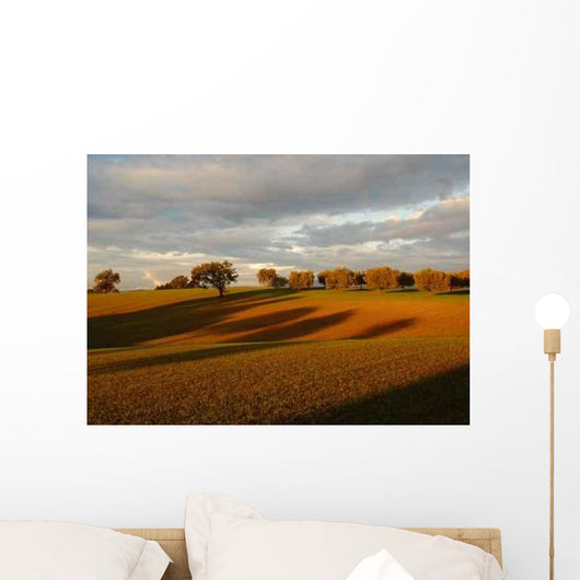 Campagna Romana Presso Campoleone Wall Decal