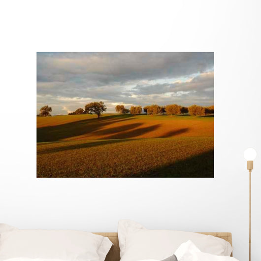 Campagna Romana Presso Campoleone Wall Decal