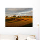 Campagna Romana Presso Campoleone Wall Decal