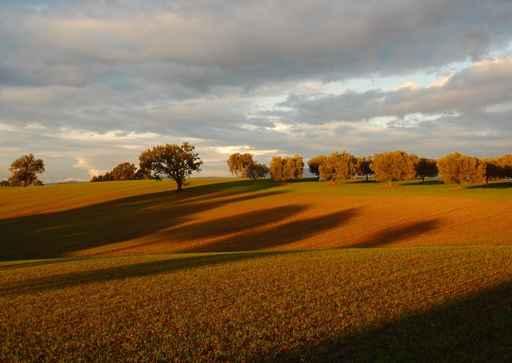Campagna Romana Presso Campoleone Wall Decal