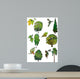 Trees and Their Leaves