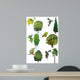 Trees and Their Leaves