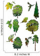 Trees and Their Leaves