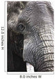 Portrait Of African Bull Elephant Wall Mural