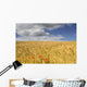 Wild Poppies In Wheat Field, North Yorkshire, England Wall Mural