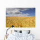 Wild Poppies In Wheat Field, North Yorkshire, England Wall Mural