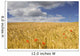 Wild Poppies In Wheat Field, North Yorkshire, England Wall Mural