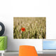 Poppy Flower In Field Of Wheat Wall Mural