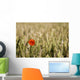 Poppy Flower In Field Of Wheat Wall Mural