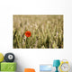 Poppy Flower In Field Of Wheat Wall Mural