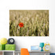 Poppy Flower In Field Of Wheat Wall Mural