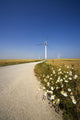 Wind Turbine, Humberside, England Wall Mural