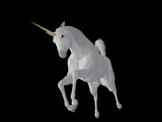 Einhorn