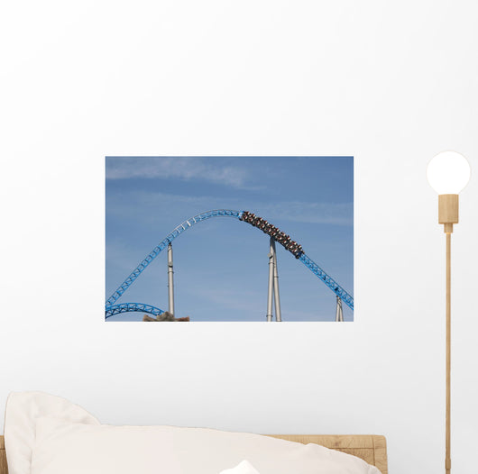 Fast-paced Roller Coaster