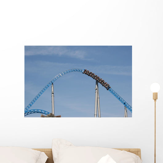 Fast-paced Roller Coaster