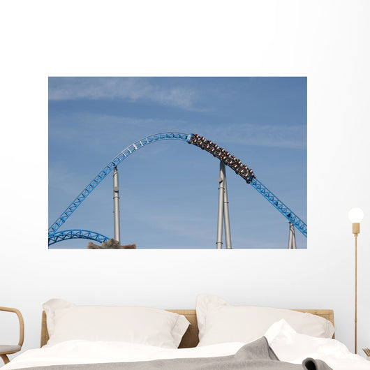 Fast-paced Roller Coaster