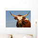 Texas Longhorn Cow Wall Mural