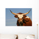 Texas Longhorn Cow Wall Mural