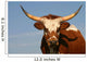 Texas Longhorn Cow Wall Mural