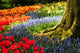 Old Root and Flower Wall Mural