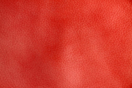 Cuir Rouge Wall Mural