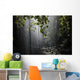 Rainforest, Bellingen, Australia Wall Mural