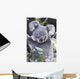 Koala In Tree, Phascolarctos Cinereus, Australia Wall Mural