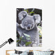 Koala In Tree, Phascolarctos Cinereus, Australia Wall Mural