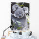 Koala In Tree, Phascolarctos Cinereus, Australia Wall Mural