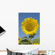 Sunflower Wall Mural