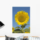 Sunflower Wall Mural