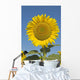 Sunflower Wall Mural