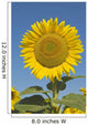 Sunflower Wall Mural