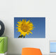 Sunflower, Helianthus Annuus Wall Mural