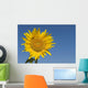 Sunflower, Helianthus Annuus Wall Mural