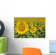 Sunflowers, Helianthus Annuus, Andalusia, Spain, Europe Wall Mural