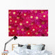 Trailing Ice Plant Wall Mural