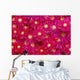 Trailing Ice Plant Wall Mural