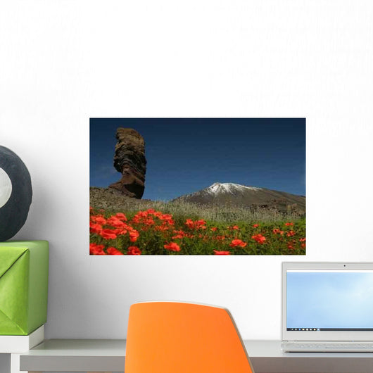 Vulkan Pico Wall Mural