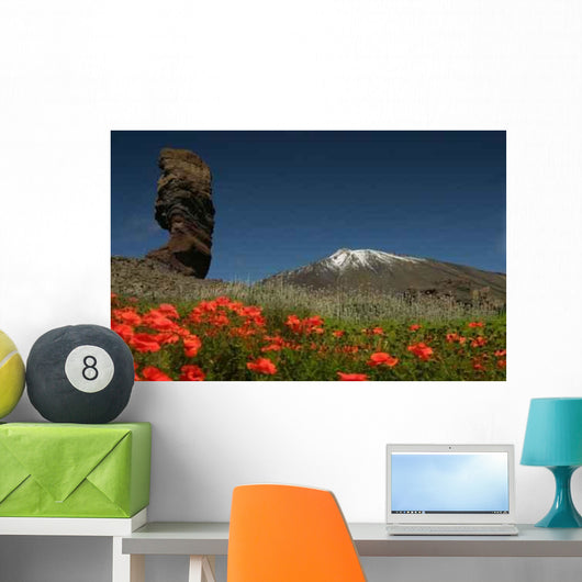 Vulkan Pico Wall Mural